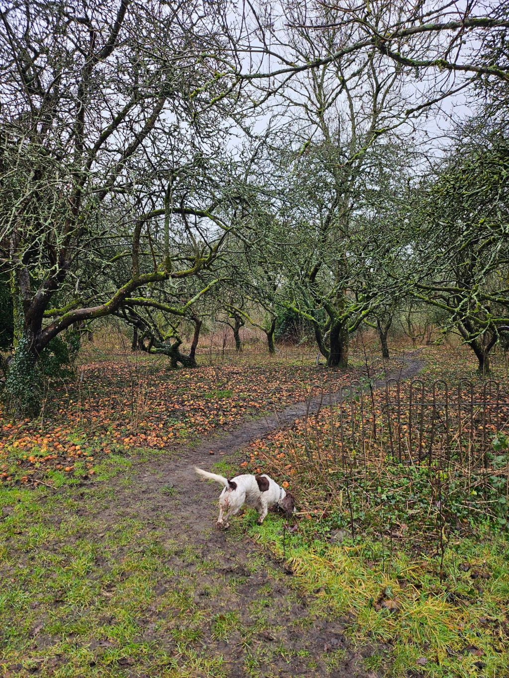 Pinch, punch, first of the … it’s not January anymore!